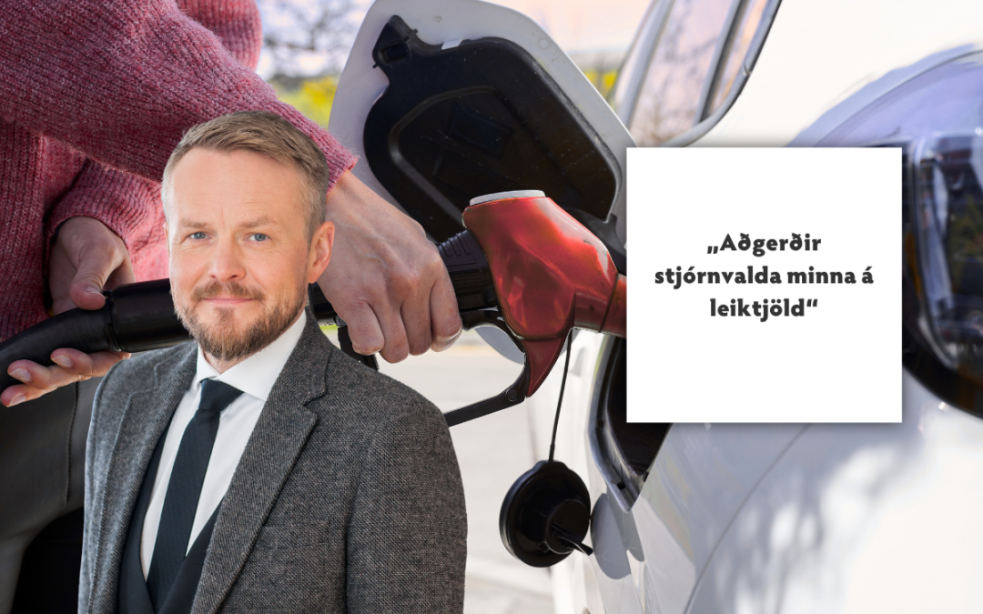 SVÞ: Varar við verðstýringu og „leiktjöldum“ í aðgerðum stjórnvalda